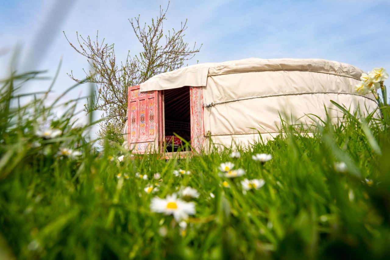 Logements Insolites A La Ferme - Yourte, Kota Ou Pod Farbus المظهر الخارجي الصورة